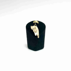 Stetocharm