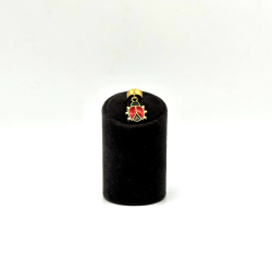 Stetocharm