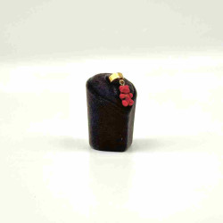 Ananas Stetocharm