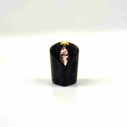 Stetocharm